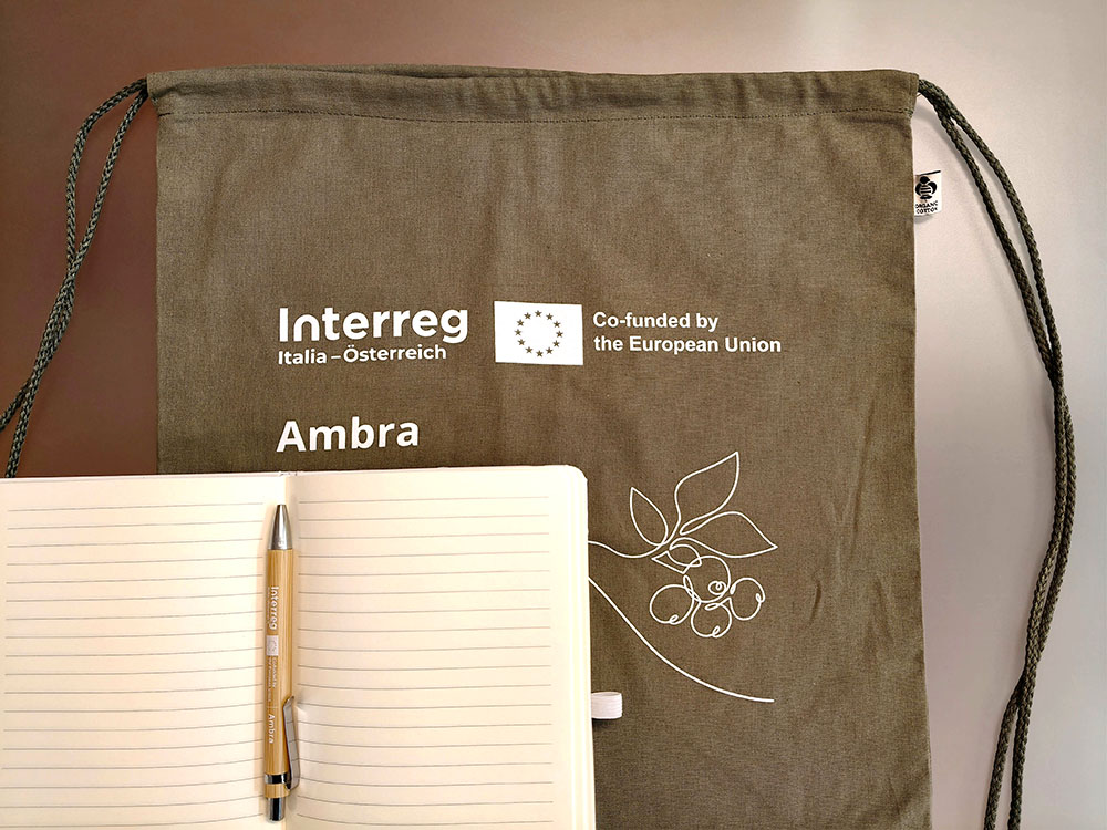 Ambra borsa 100x750